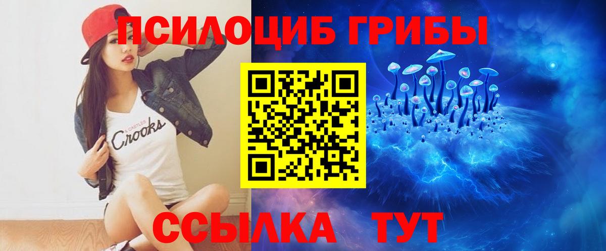 Галлюциногенные грибы GOLDEN TEACHER Ноябрьск